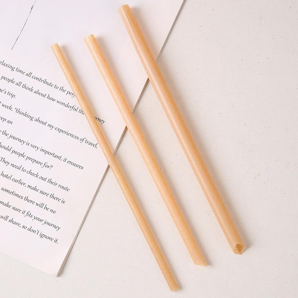 https://www.greenboxstraw.com/cdn/shop/files/sugarcane_straw_210mm.jpg?v=1702450657